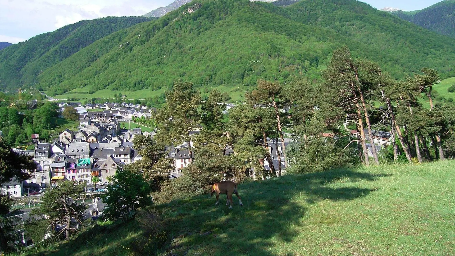 Grange Renovee En Gite/Maison/Chalet Arreau Frankreich
